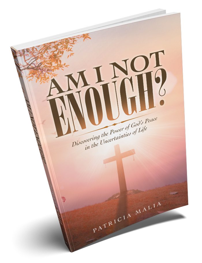 Am I not enough book cover